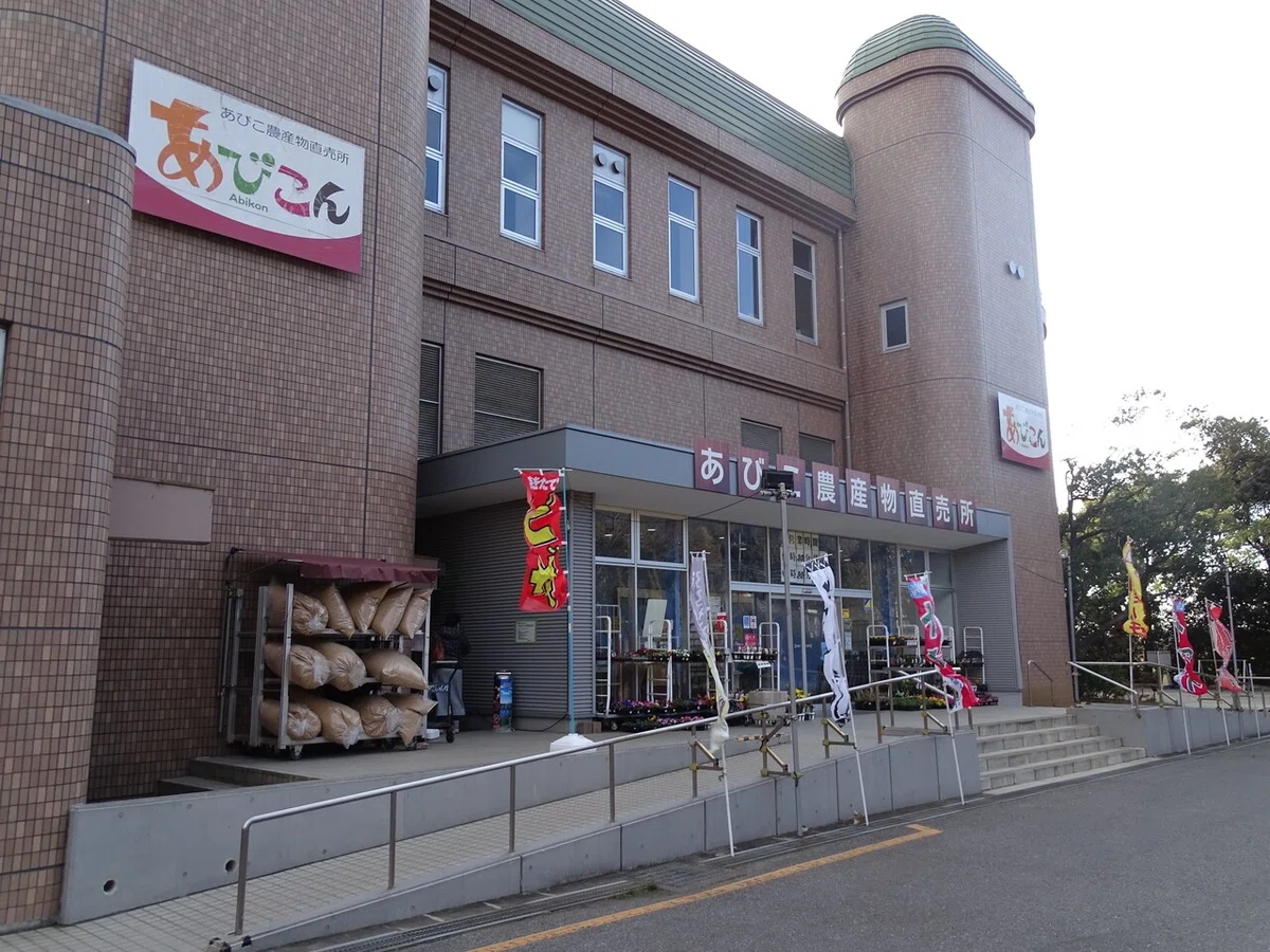 画像7