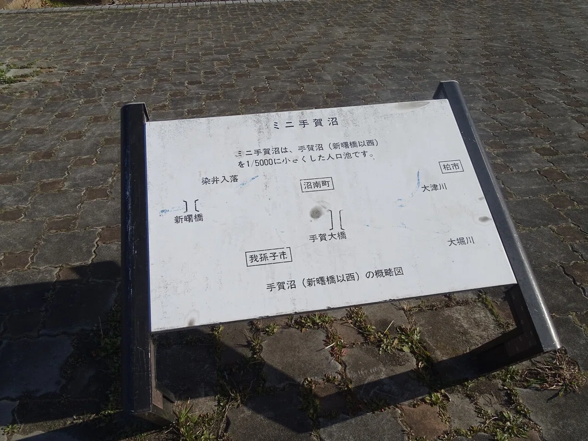 画像16