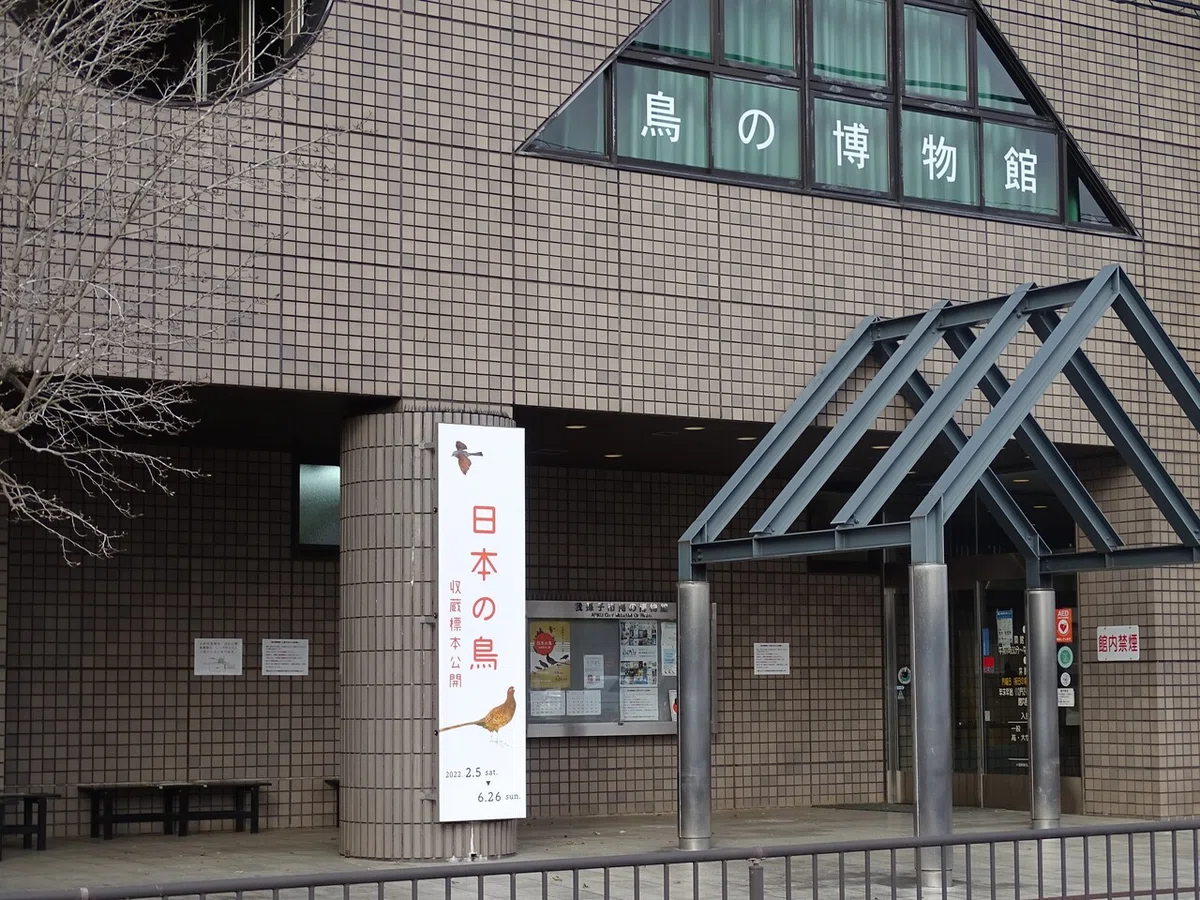画像88