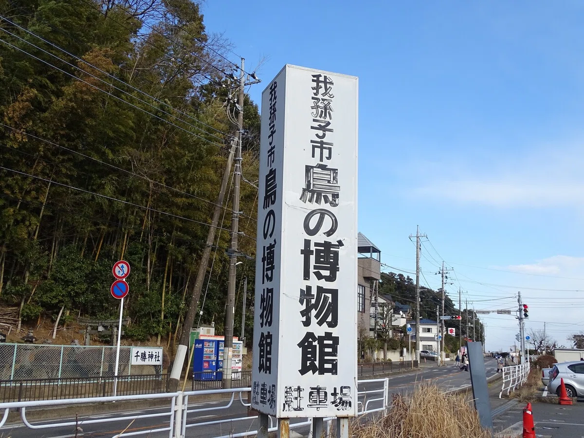 画像87