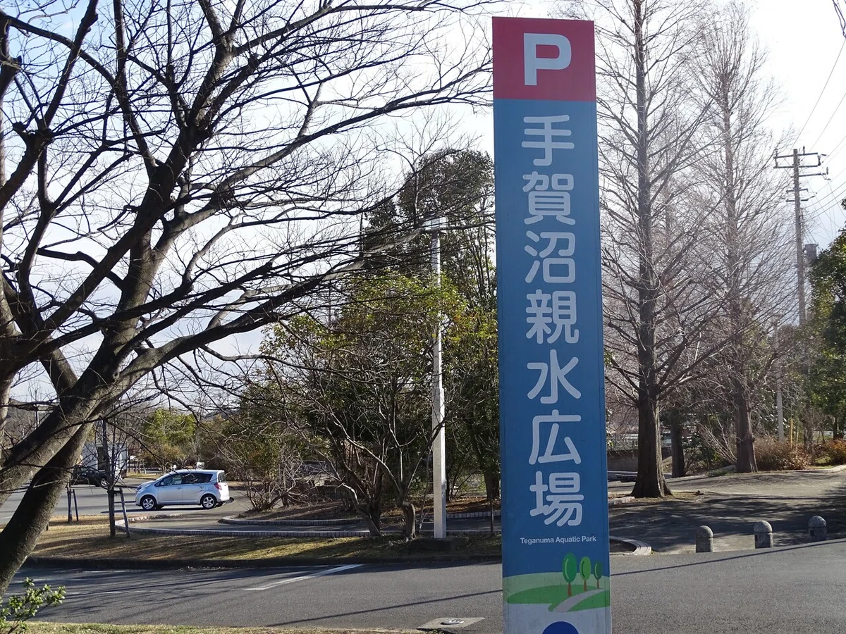 画像10