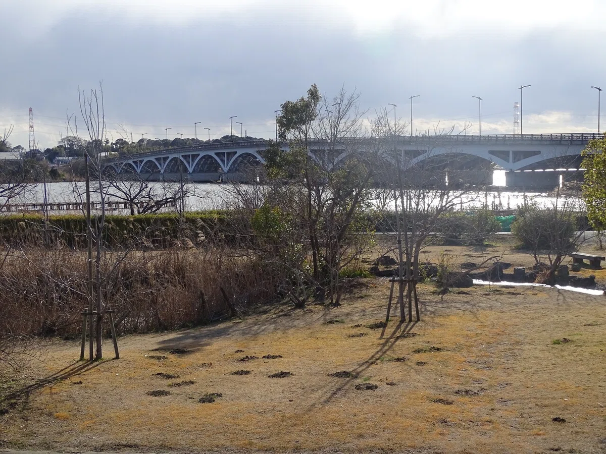 画像13