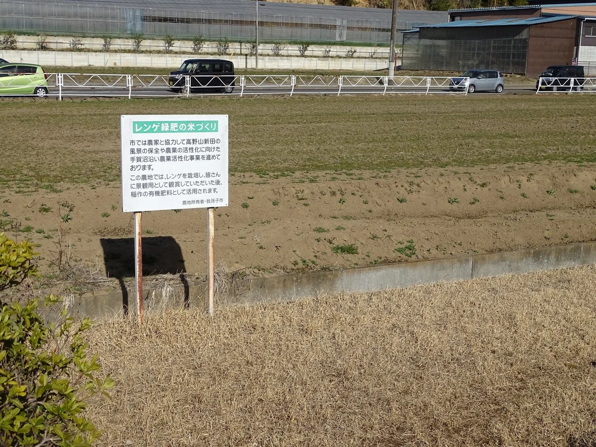 画像11