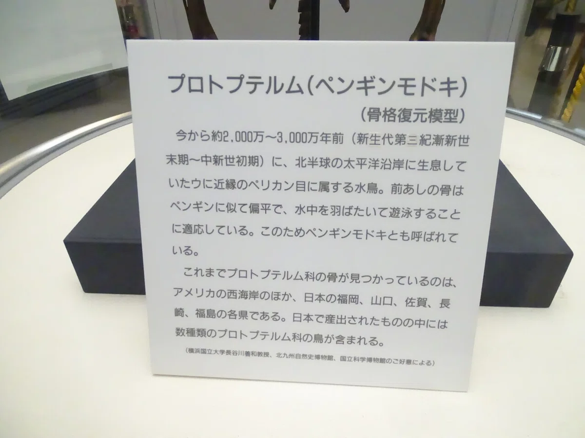 画像172