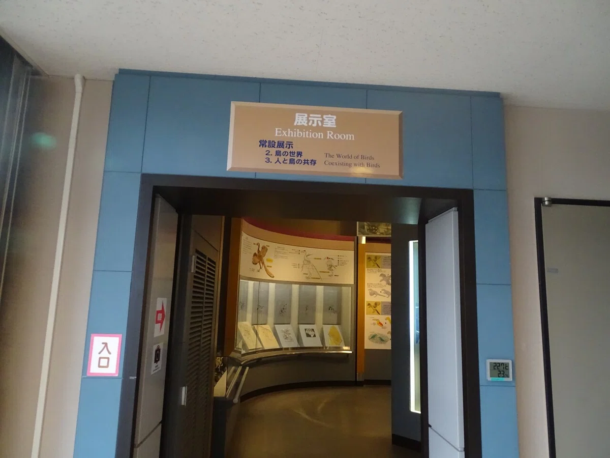 画像163