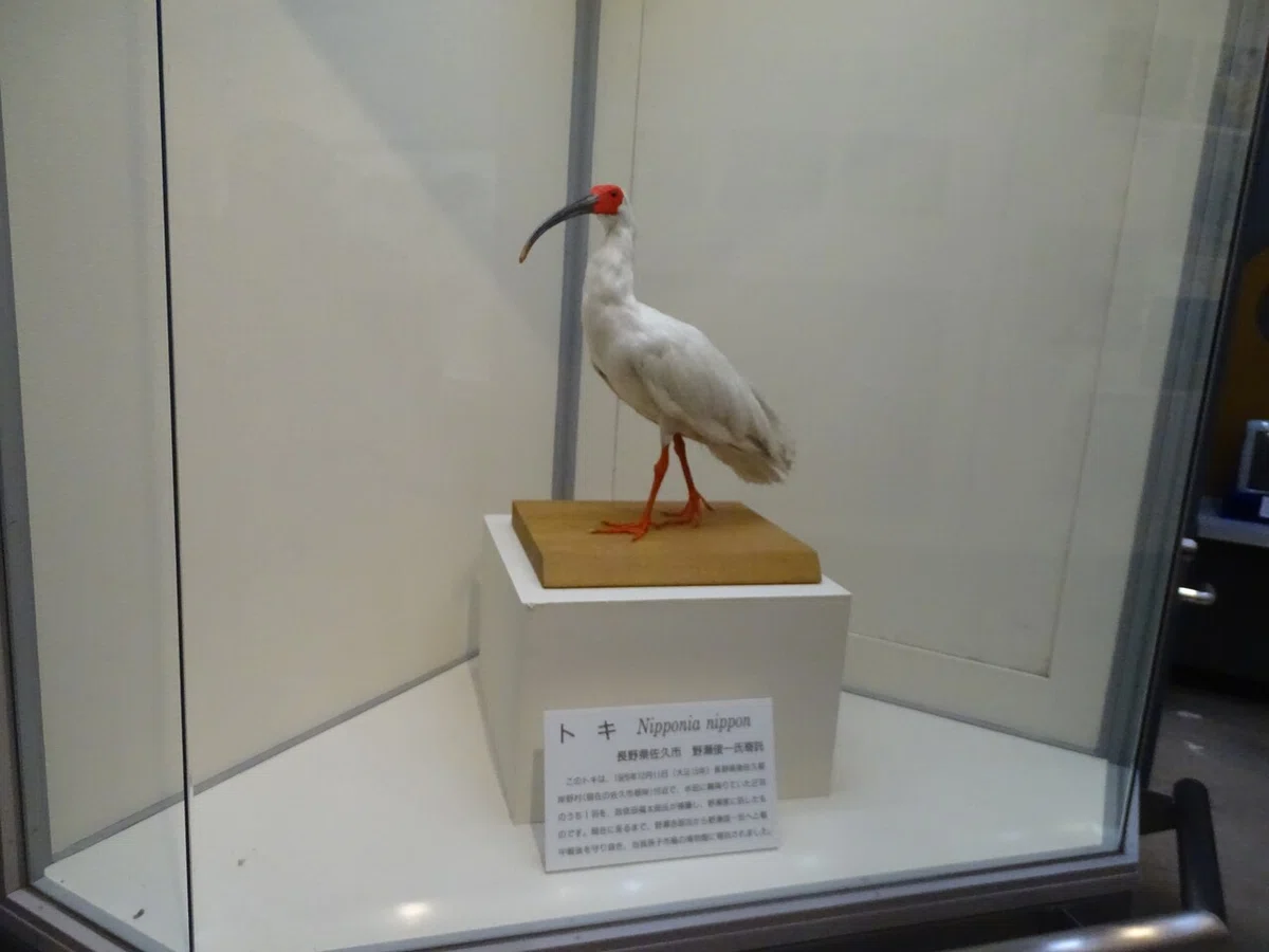 画像206