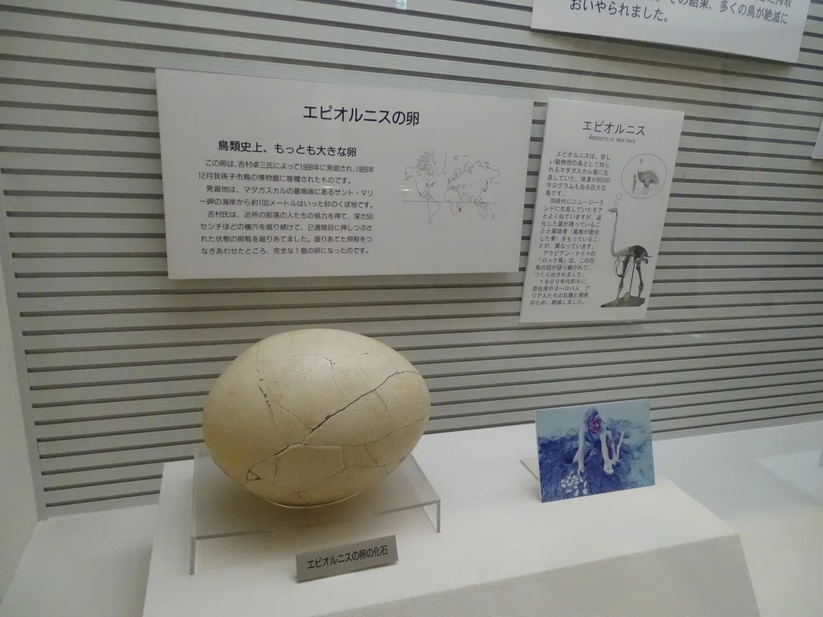 画像173