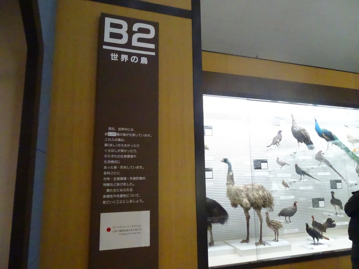 画像176