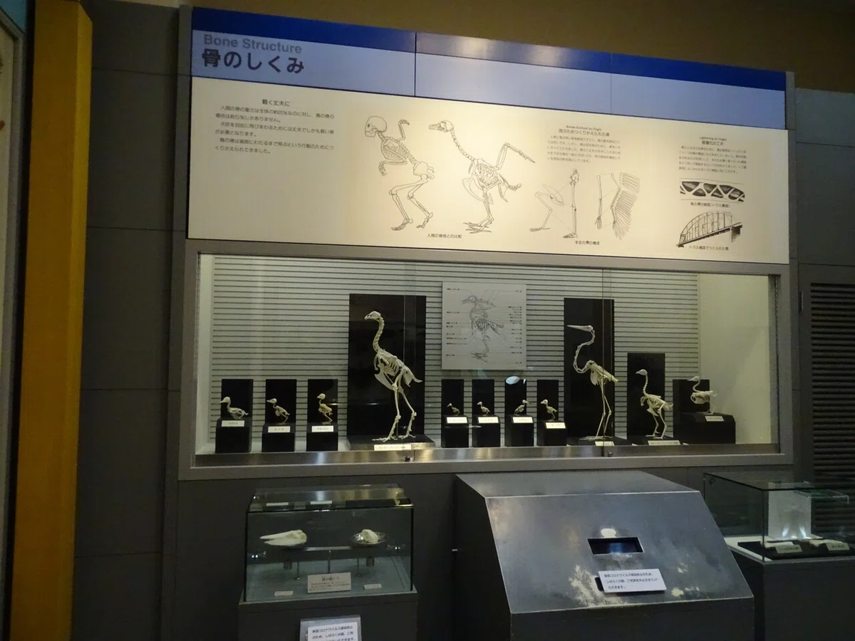 画像204