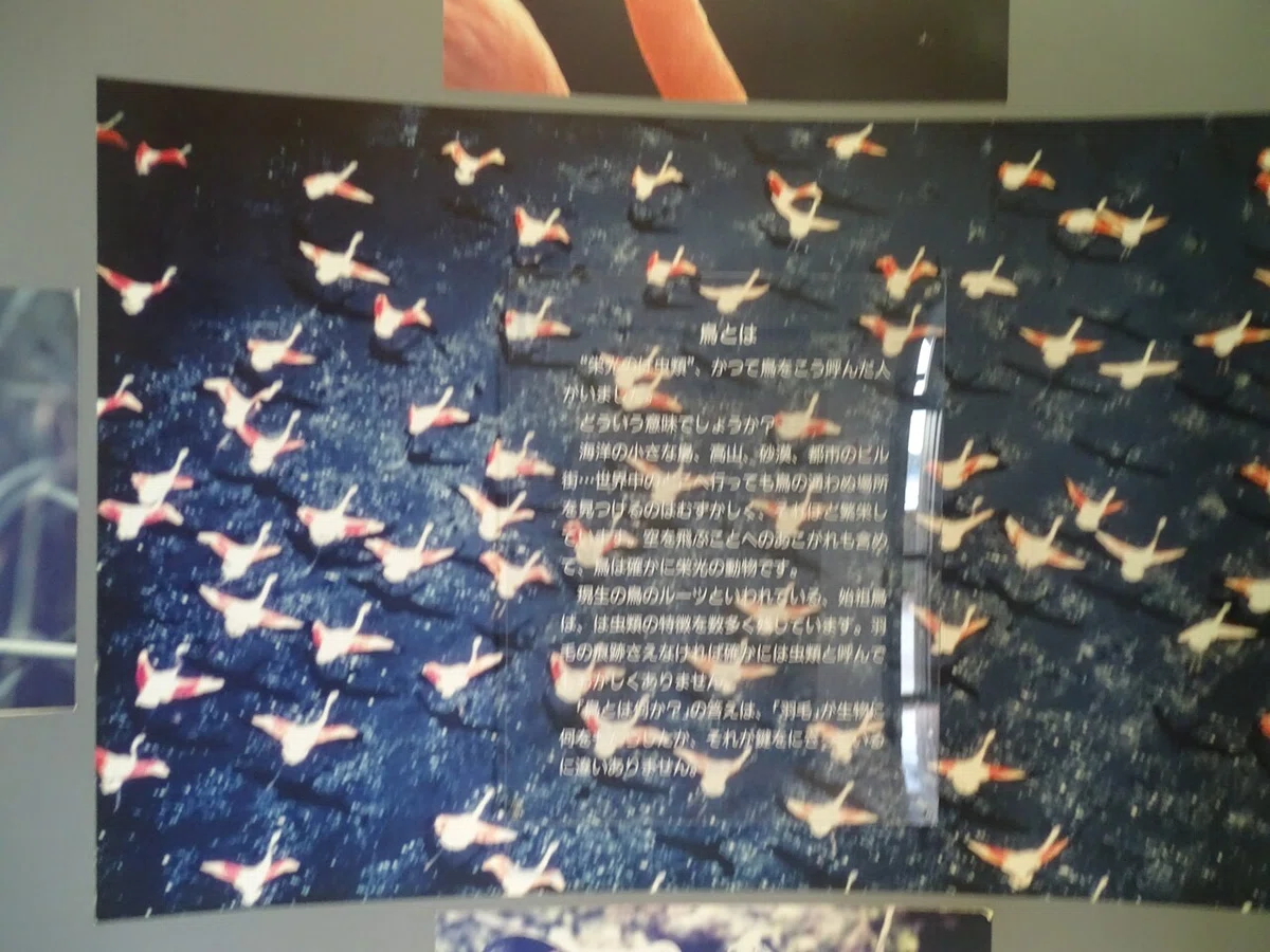 画像164