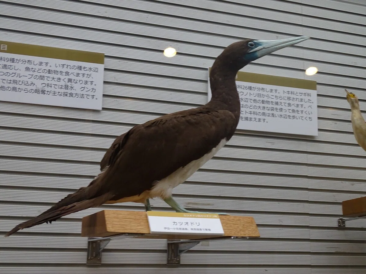 画像129