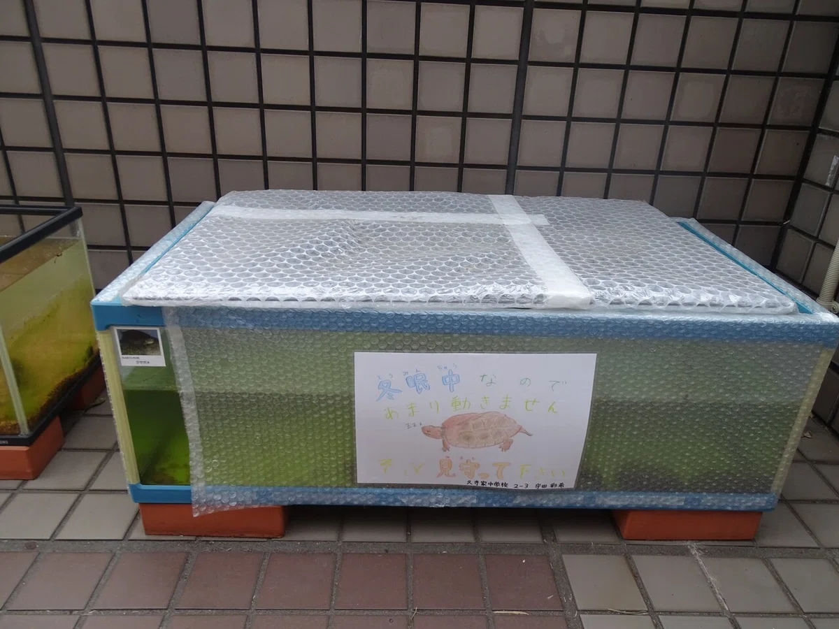 画像209