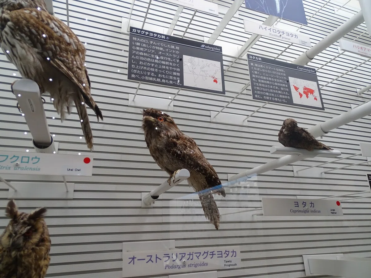 画像198