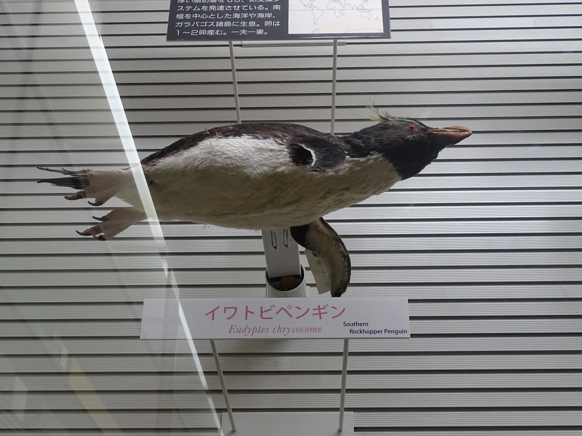 画像189