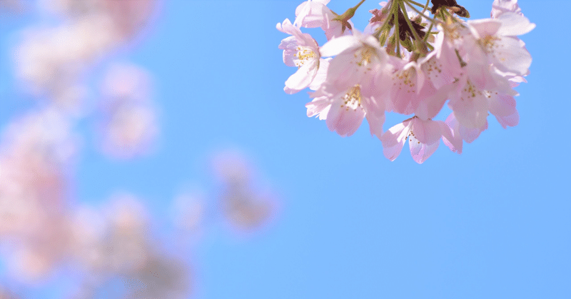 春、ポップコーン｜詩
