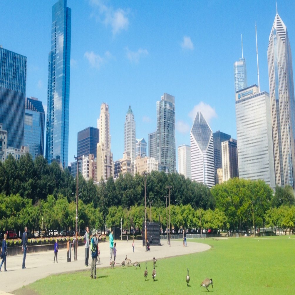 英語】CAGR｜サザヱ