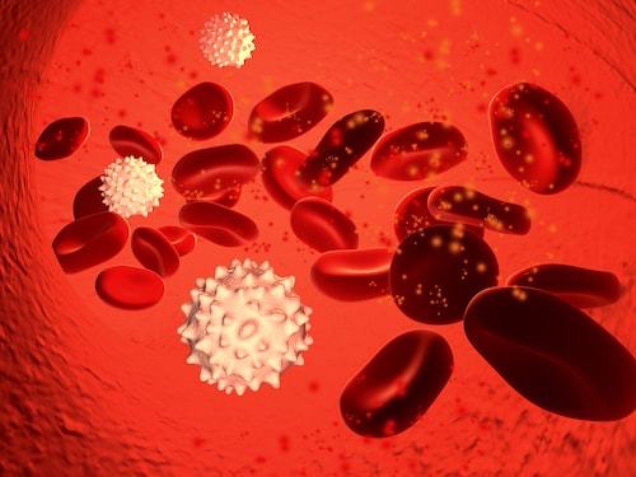 ステロイドでは白血球が増加することがよくあるが 何故 薬備 ヤクビ 保険薬局薬剤師のアカデミック備忘録 鎌田貴志 Note ステロイドでは白血球が増加することがよくあるが 何故 薬備 ヤクビ 保険薬局薬剤師のアカデミック備忘録 鎌田貴志 Note