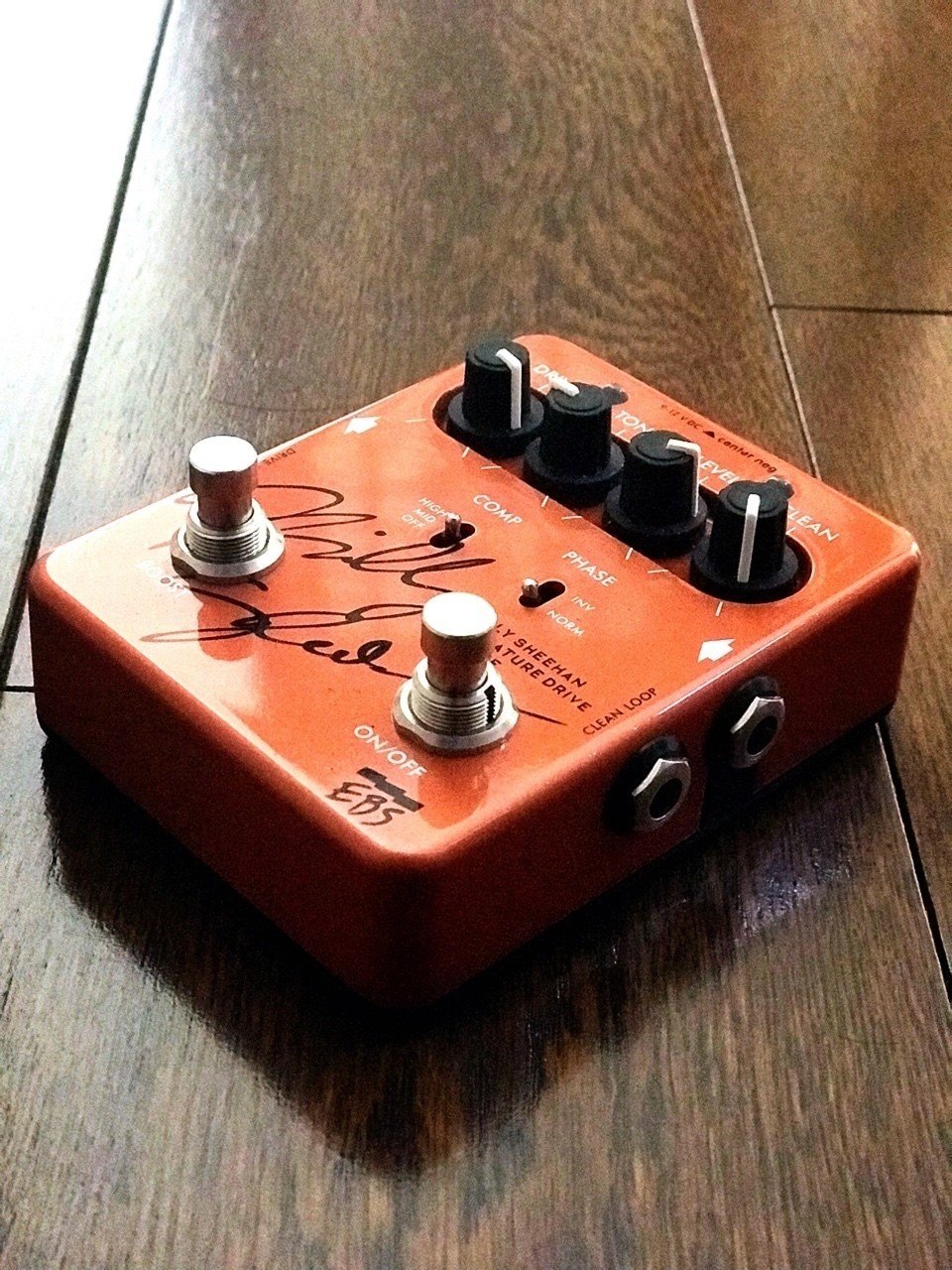 ◇Billy Sheehan研究①「使用するエフェクトの要素」｜久保田 貴大×BLUETUS