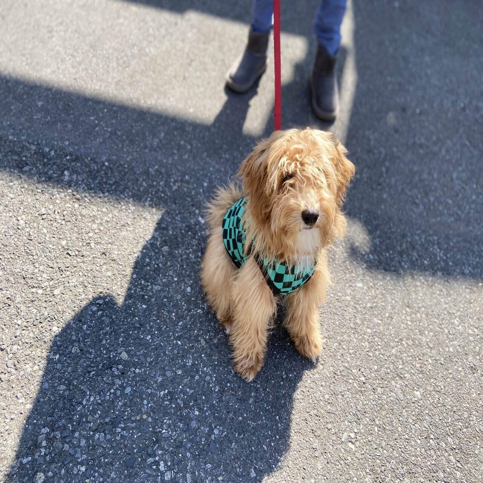 Atelier Imperatrice Zakka Coffee Kouma Note