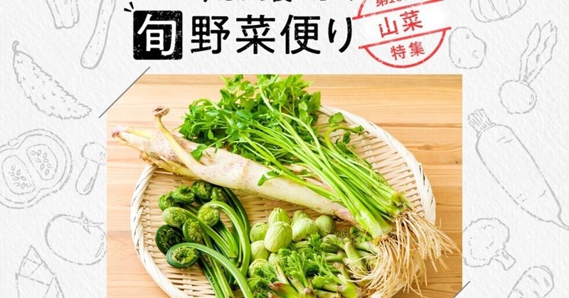 旬野菜便り♪春めく山菜の魅力＆堪能レシピ