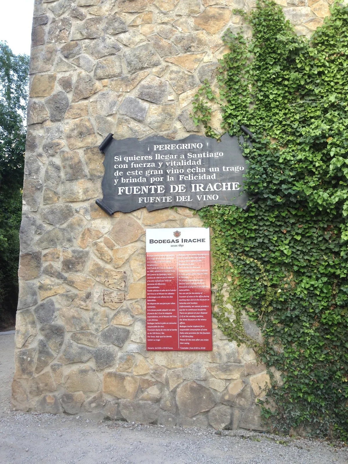 画像11