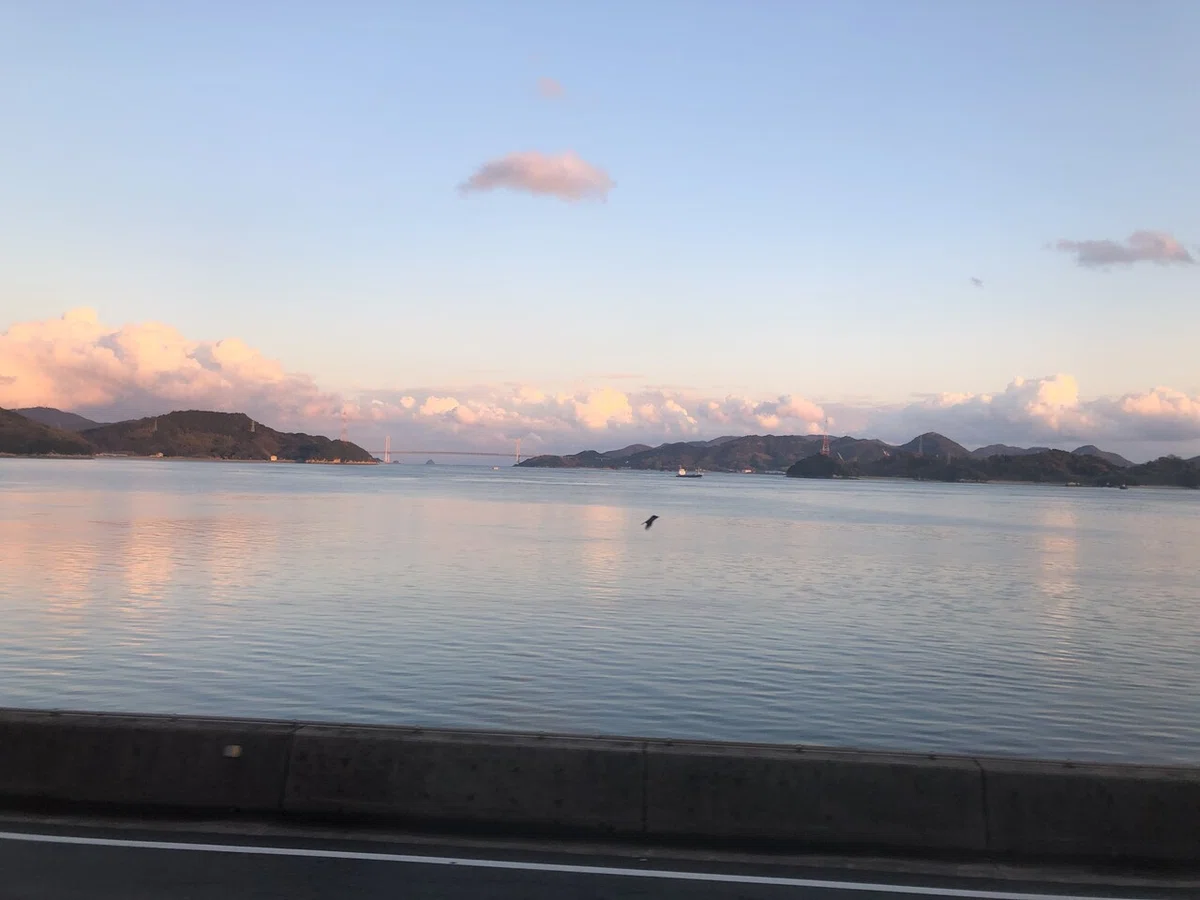 画像7