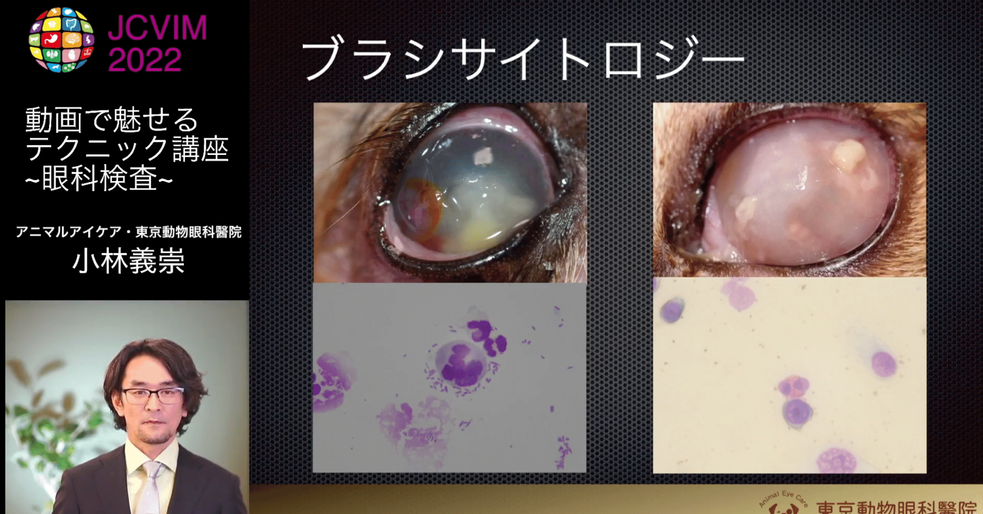 学会発表：第18回日本獣医内科学アカデミー 学術大会（JCVIM2022