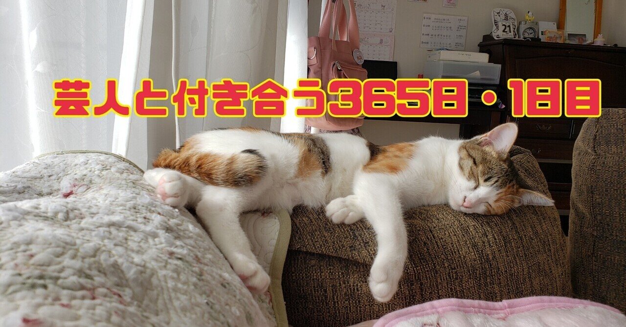 芸人と付き合う365日 1日目 芸人と付き合いたいよおぉぉぉ ロリィタ族 チェリーボンボン Note 芸人と付き合う365日 1日目 芸人と付き合いたいよおぉぉぉ ロリィタ族 チェリーボンボン Note