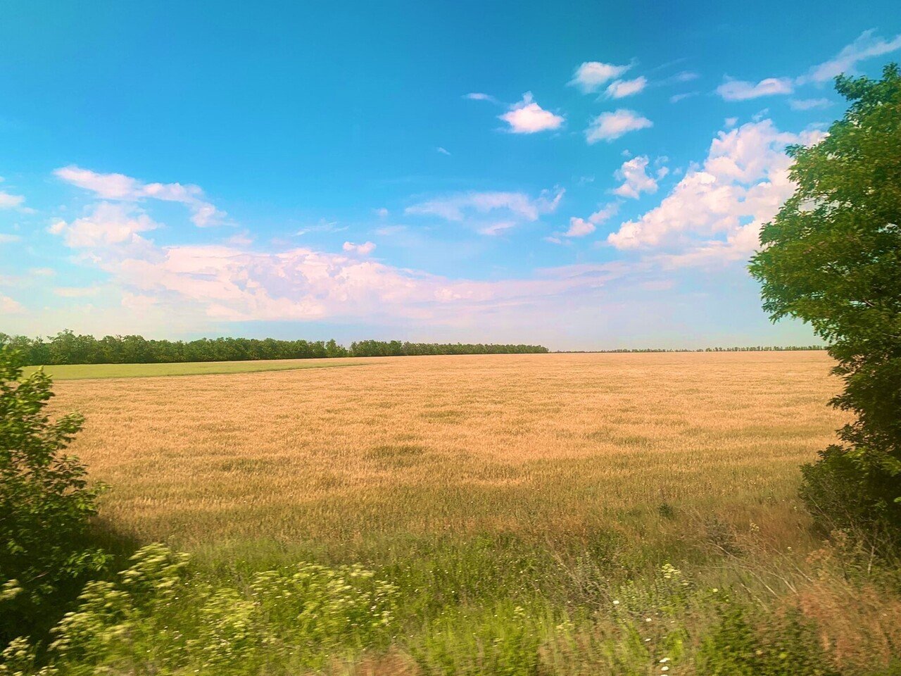 緊急レポート けんけんの東欧見聞録 ウクライナ編 日常と戦争の狭間で 一般財団法人日本青年館 Note 緊急レポート けんけんの東欧見聞録 ウクライナ編 日常と戦争の狭間で 一般財団法人日本青年館 Note