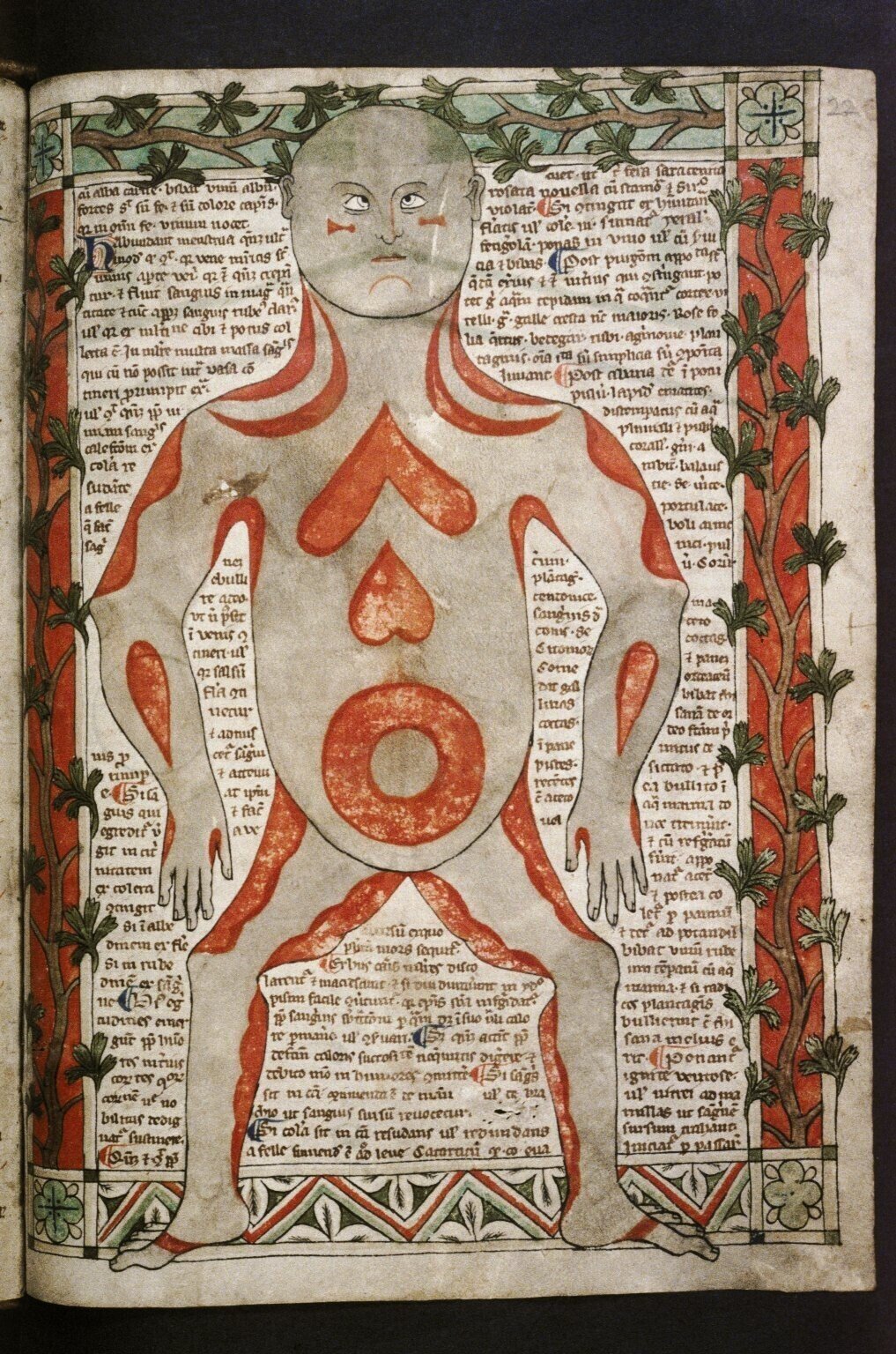人体解剖の美術史①ヴェサリウス以前｜柿内午後