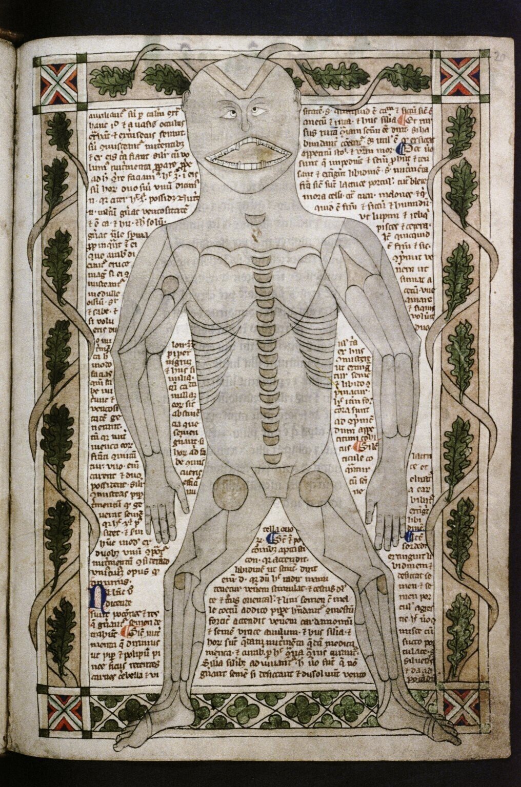 人体構造論抄: ヴェサリウスのthe Epitome ヴェサリウス解剖図: De corporis humani fabrica libri septem