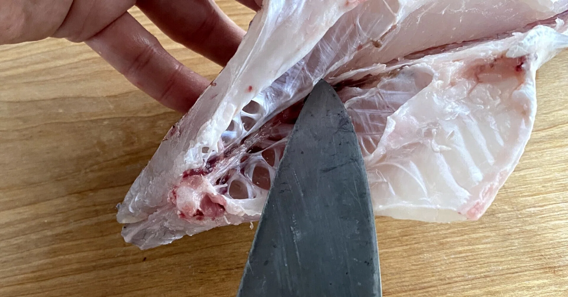初心者向け】 鯛の三枚おろし きれいにさばくコツ。｜ミナトゴハン