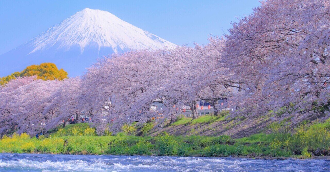 さあ 富士と桜の絶景に会いに 富士龍厳淵の攻略法 Plaisir Voyage07 Note