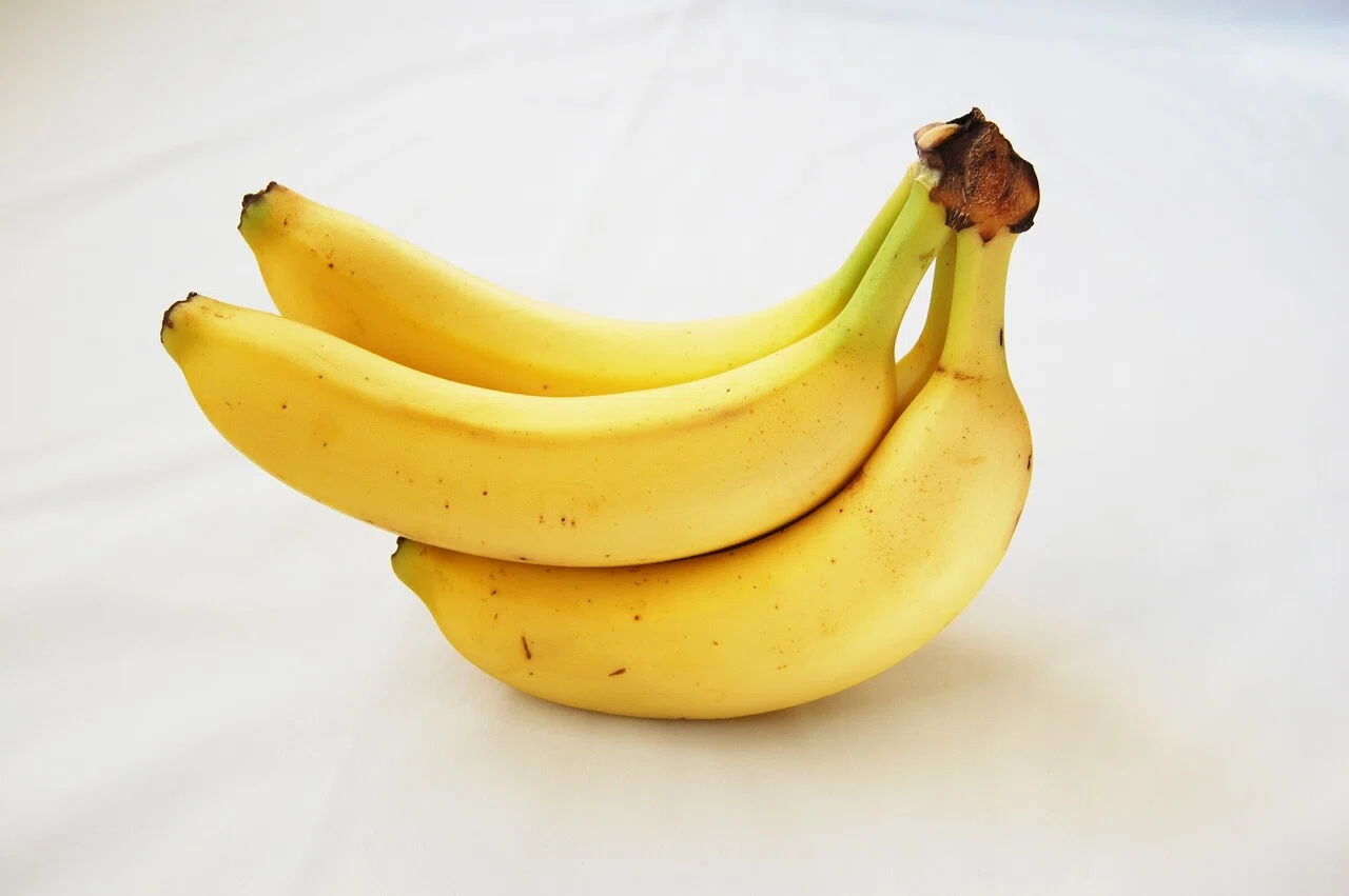 これって野菜or果物、どっち？｜ファイナルファーム
