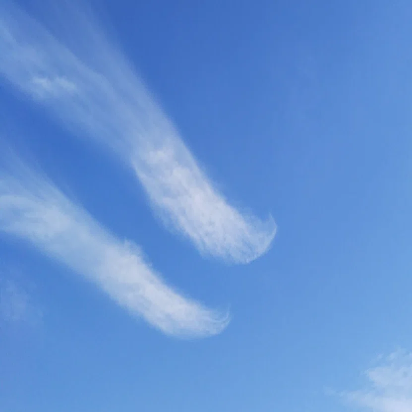 迷いの雲を風に流せ！禅語「白雲自去来」｜ぎんおう@雲外蒼天（元金融