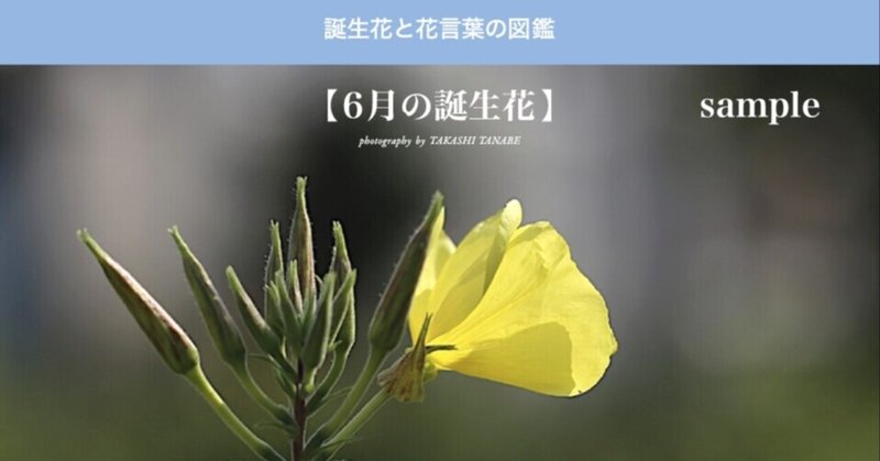 6月「note」に投稿した草・花・木の電子書籍の紹介。