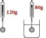 浮力 ふりょく のよく出る問題 中学理科 Shun Ei Note
