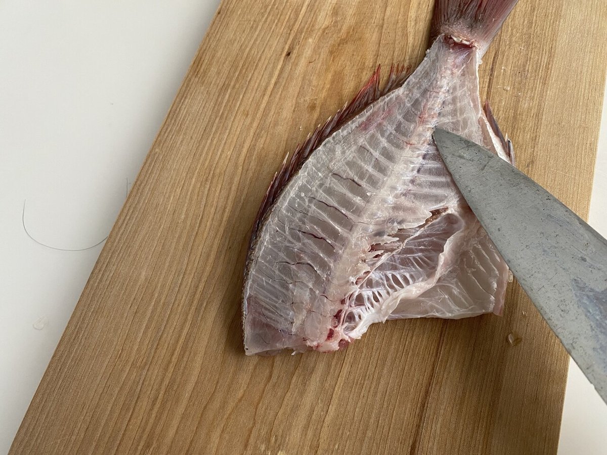 初心者向け】 鯛の三枚おろし きれいにさばくコツ。｜ミナトゴハン