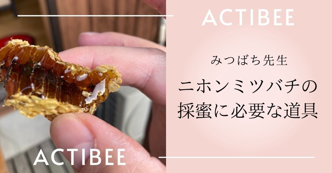 ニホンミツバチの採蜜に必要な道具｜みつばち先生🐝｜みつばち先生