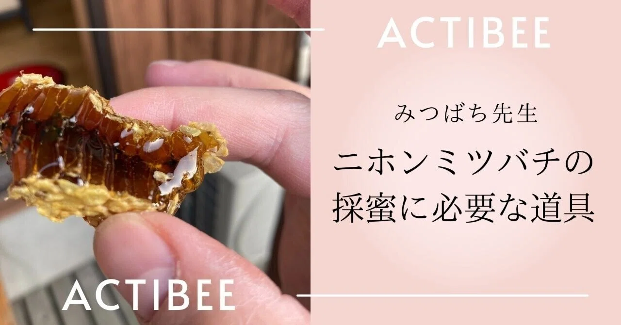 ニホンミツバチの採蜜に必要な道具｜みつばち先生🐝｜みつばち先生