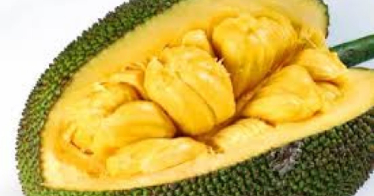 初めてジャックフルーツ食べて死ぬかと思った話｜saki