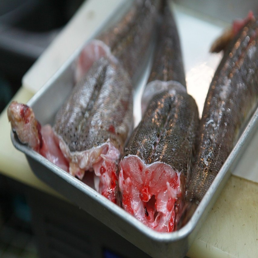 鞆の浦の睦子さんの コチの煮付け Grandma S Life Recipes せとうちdeep Line Trip Note