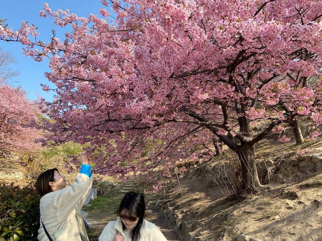 画像24