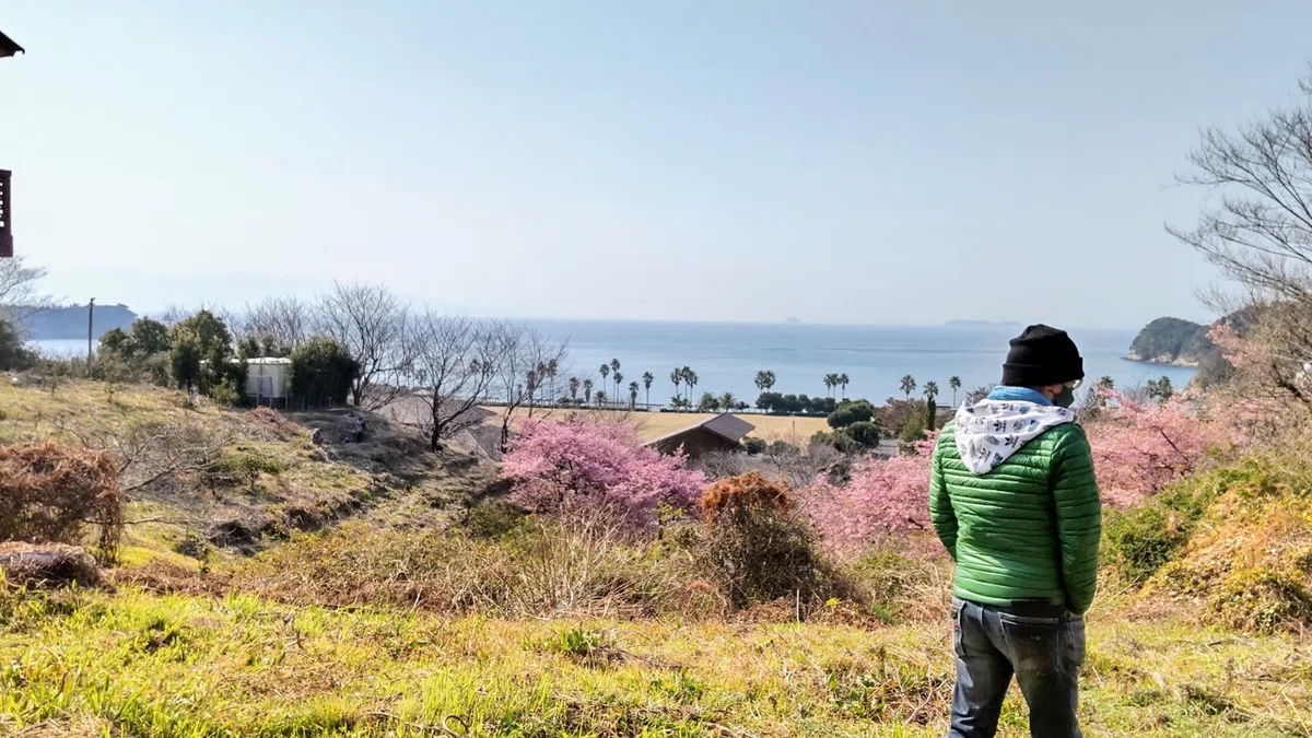 画像25