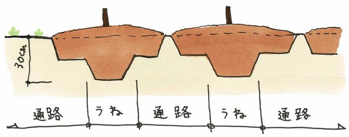 耕す2