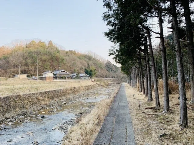 画像5