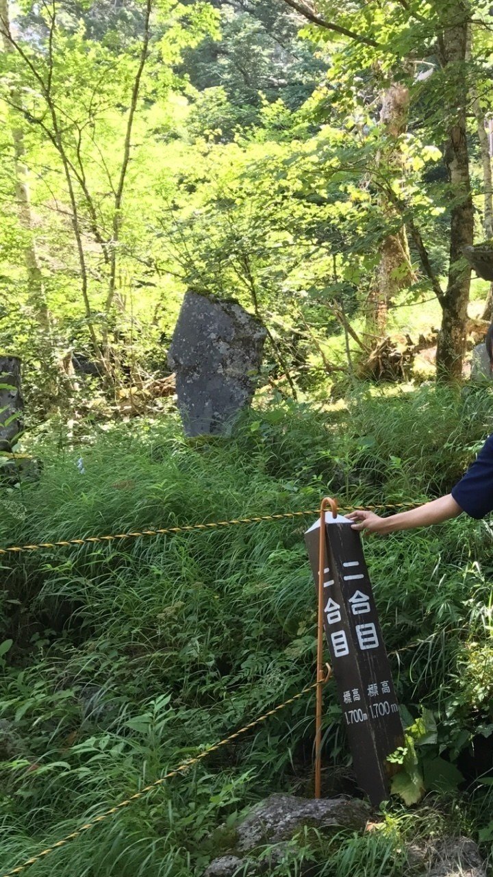 二合目は荒れ放題 マンボウ Note