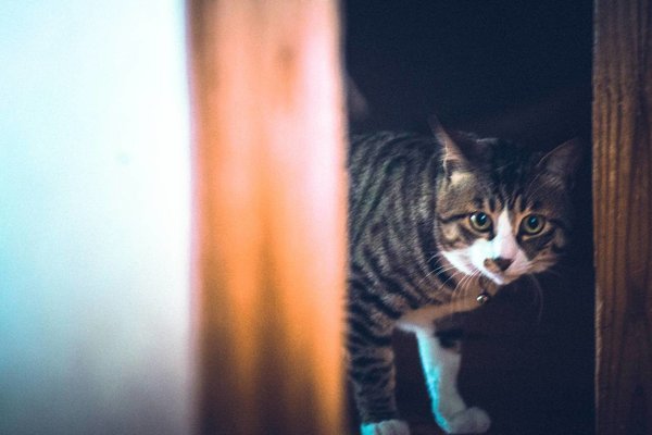 隣人は静かに笑う の新着タグ記事一覧 Note つくる つながる とどける 隣人は静かに笑う の新着タグ記事一覧 Note つくる つながる とどける