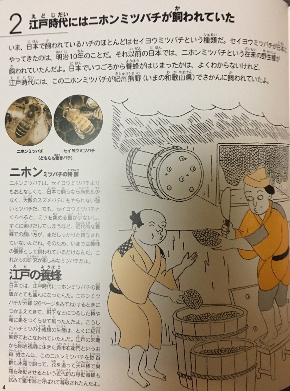 農文協のミツバチの絵本｜shanthi-usui