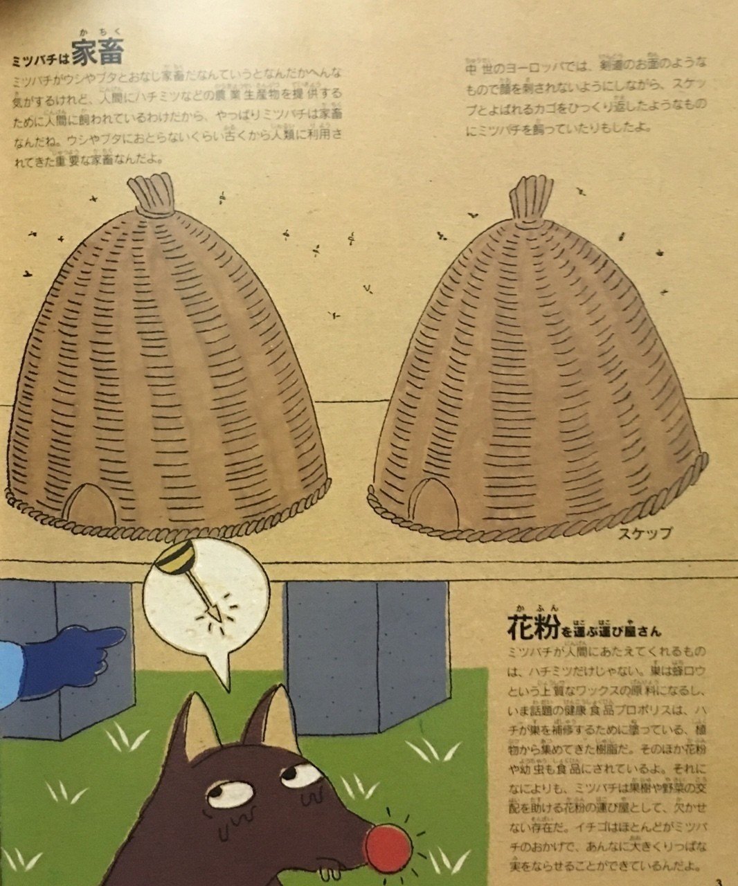 絵本とミツバチ様 3点まとめリクエスト 142339-3-